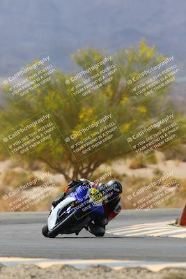 media/Apr-10-2022-SoCal Trackdays (Sun) [[f104b12566]]/Turn 5 Tree of Life (1040am)/